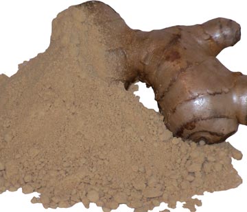 Bulk dried ginger root — Zingiber officinale ground to a warm pungent powder for baking and curries