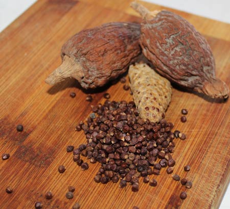 Rainbow mixed peppercorn blend — black, white, green, and pink peppercorns combined