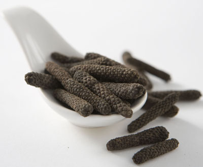 Bulk long pepper — Piper longum catkins, the ancient ancestor of black pepper with warm complex heat