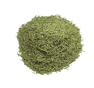 Bulk dried rosemary — intensely aromatic Salvia rosmarinus with pine and lavender notes