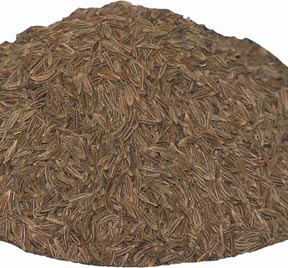 Bulk whole cumin seeds — warm, earthy Cuminum cyminum for Mexican, Indian, and Middle Eastern cooking